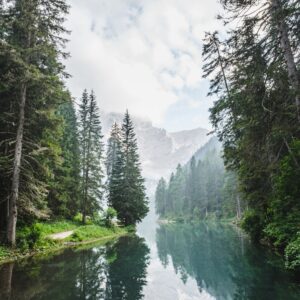 Auszeit im Wald - Waldbaden Workshop mit Eileen Froelich zum Stressabbau, für innere Ruhe und neue Lebenskraft.